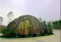 南湖1号楼盘图8