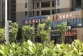 新力东园楼盘图100