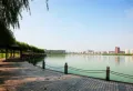 保惠蜂鸟楼盘图52