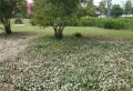 中南银城樾府楼盘图33
