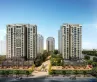 东鲁凤凰上郡户型图1