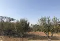 康桥圣菲楼盘图32