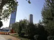 舜兴东方户型图181