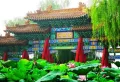 万科海晏公馆楼盘图87
