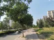 金地湖城风华户型图53