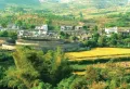 绿岛晴岚楼盘图29