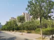 金地湖城风华户型图25