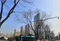 金科东方博翠楼盘图79
