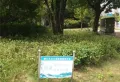 中南银城樾府楼盘图37