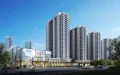 万科中南府户型图3