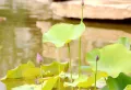 荣盛华府楼盘图202
