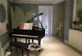 蓝光雍锦半岛楼盘图53