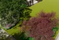 谱洋府楼盘图14