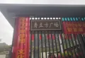 巴马世纪养生园楼盘图11