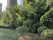 舜兴东方户型图73