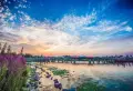 碧桂园芙蓉台楼盘图50