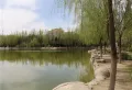 九鹏·文华园（商铺）楼盘图6