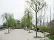 清河溪岸户型图12