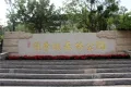 鲁能国际中心户型图