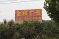 绿地泉景嘉园户型图10