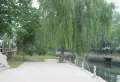 映月清水湾楼盘图29