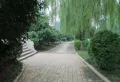 映月清水湾楼盘图24