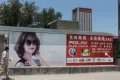 王府庄园二期户型图10
