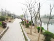 清河溪岸户型图4