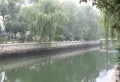 映月清水湾楼盘图11