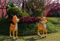 彰泰永顺学府楼盘图4