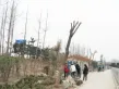 清河溪岸户型图18
