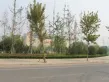 清河溪岸户型图11