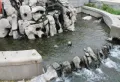 映月清水湾楼盘图18