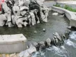 映月清水湾户型图18