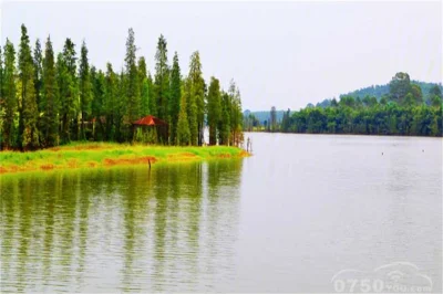 水安龙府上院房价19