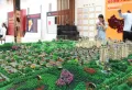 北京恒大京南半岛楼盘图15