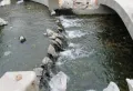 映月清水湾楼盘图26