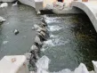 映月清水湾户型图26