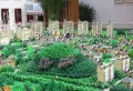 北京恒大京南半岛楼盘图12