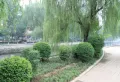 映月清水湾楼盘图28