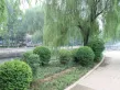 映月清水湾户型图28