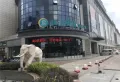 中房蔚蓝风景楼盘图9