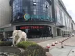 北部湾国际建材商贸城户型图