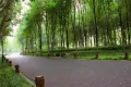 万科公园里户型图12
