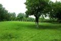 万科公园里户型图11