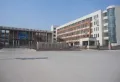 齐鲁涧桥维拉的院子楼盘图9