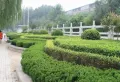 映月清水湾楼盘图8