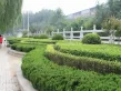 映月清水湾户型图8