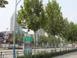 杰正山山山户型图8