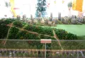 银丰花园楼盘图3